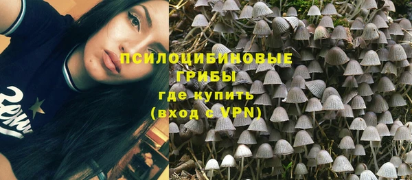 эйфоретик Балахна