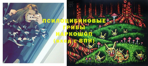 не бодяженный Краснослободск