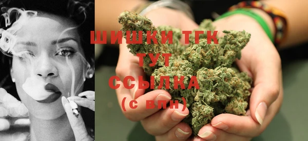 крисы Баксан