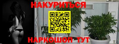 спиды Бийск