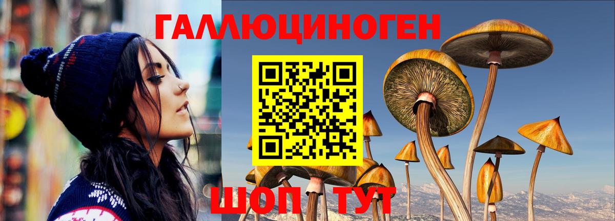 Псилоцибиновые грибы Psilocybine cubensis  магазин продажи наркотиков  Фрязино  Вход с VPN 