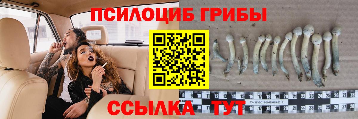 Псилоцибиновые грибы MAGIC MUSHROOMS  Галлюциногенные грибы прущие грибы  Фрязино 