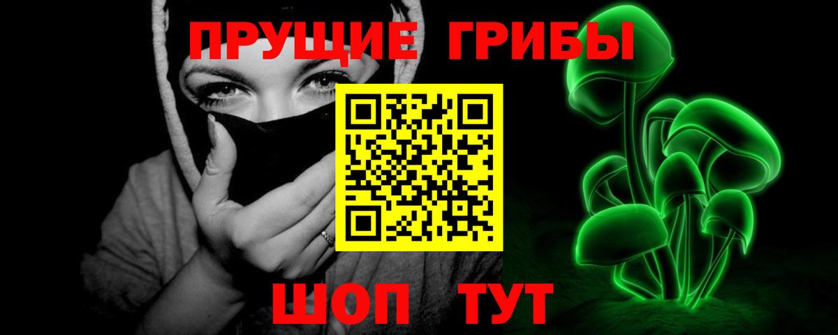 Псилоцибиновые грибы мицелий Фрязино